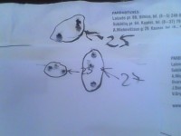 IMG0427A.jpg