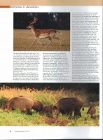 SWScan00108.jpg