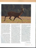 SWScan00109.jpg