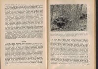 SWScan00130.jpg