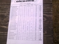 gal kam idomu rezultatai