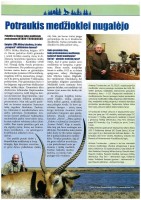 10.JPG