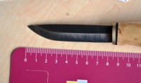 DSC_7811min.JPG