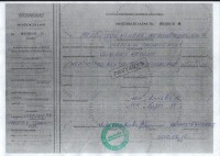 medz1.JPG