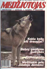 Virselis.jpg