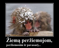 image001.jpg