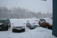 IMG_0963.JPG