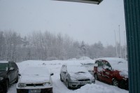 IMG_0964.JPG