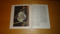 plesrieji sparnuociai (6).JPG (186.33 KiB) Viewed 8284 times plesrieji sparnuociai (6).JPG