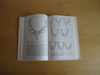lietuvos kanopiniai zverys (4).JPG (210.93 KiB) Viewed 8135 times lietuvos kanopiniai zverys (4).JPG