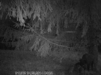 PIC201404231.JPG