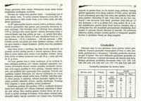 saut13 (Large) (Large) (Large).jpg