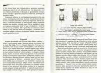 saut14 (Large) (Large) (Large).jpg