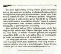 saut17 (Large) (Large) (Large).jpg