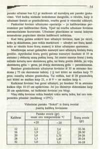 saut03 (Large) (Large).jpg