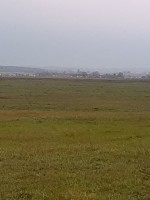 IMG_20161022_133854.jpg