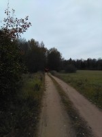 IMG_20161022_132457.jpg