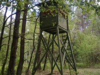20110514028.jpg