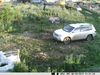 182_sifa0007.jpg