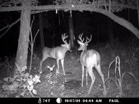 Buck-Bag-Double-Buck.jpg