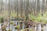 DSC01734.jpg