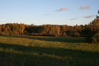 IMG_6155.JPG