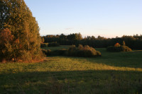 IMG_6156.JPG