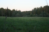 IMG_6157.JPG