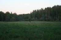 IMG_6161.JPG