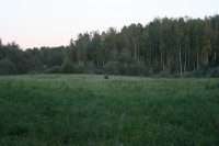 IMG_6163.JPG