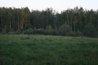 IMG_6165.JPG