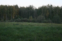 IMG_6166.JPG
