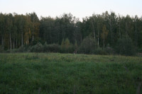 IMG_6167.JPG