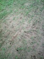 Photo0035.jpg