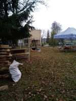 IMG_20191103_114734.jpg