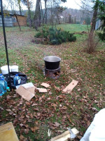 IMG_20191103_114754.jpg