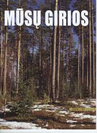 mg1.jpg