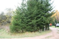 IMG_6932.JPG