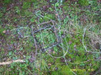 032-bebrine pas save 038.jpg