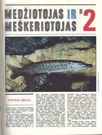 virselis.jpg