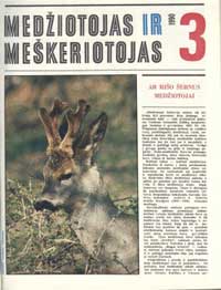 virselis.jpg