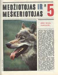 Virselis.jpg