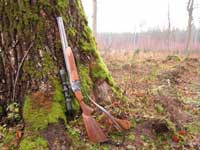 CZ584
