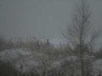 2007-11-17-varymine 051.jpg