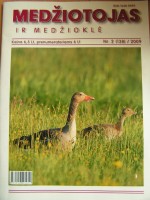 m1.JPG