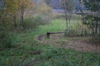 IMG_3994.JPG