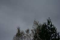 IMG_4008.JPG