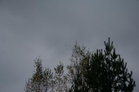 IMG_4009.JPG