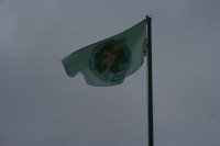 IMG_4110.JPG