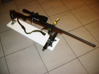 S6008211.JPG